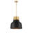 Dooley 1 - Light Single Dome Pendant in Matte Black-1078510084