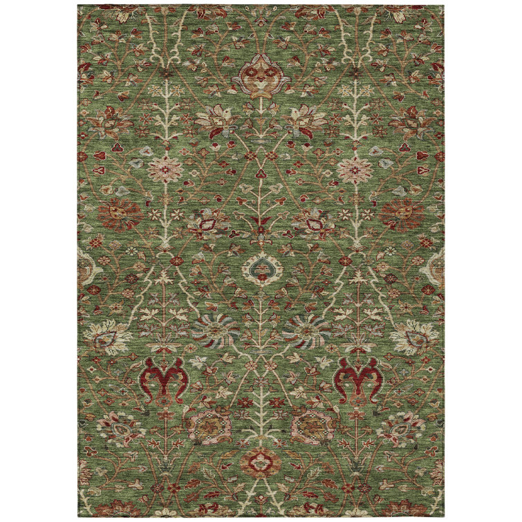 Chayil Area Rug with Non-Slip Backing