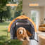 Tente pour chien