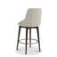 Zoe Bar Stool-61488469-61648756