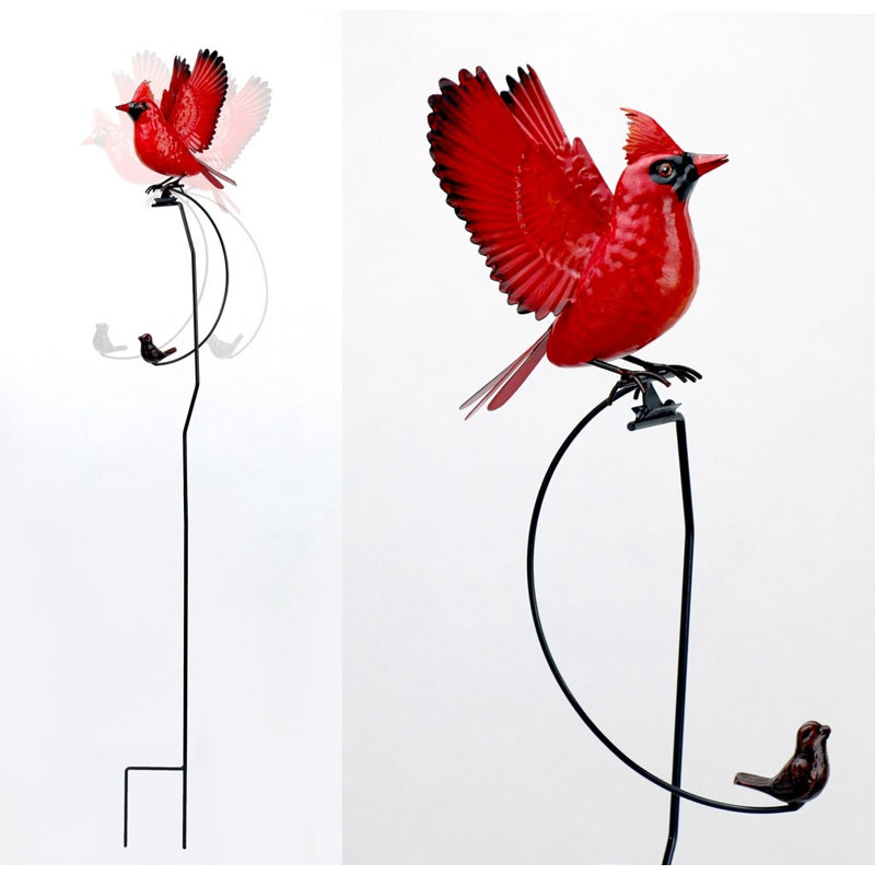 Piquet Kinetic Cardinal