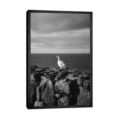 Hawaiian Bird by Bethany Young - Print on Canvas
