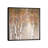 Sunlit Birch II by Carol Robinson - Painting on Canvas-1209463234-1209463244