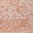 Machine Washable Indoor/Outdoor Chayden ACN1104 Coral Rug-100136606