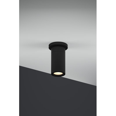 GX 25 LED Flush Mount