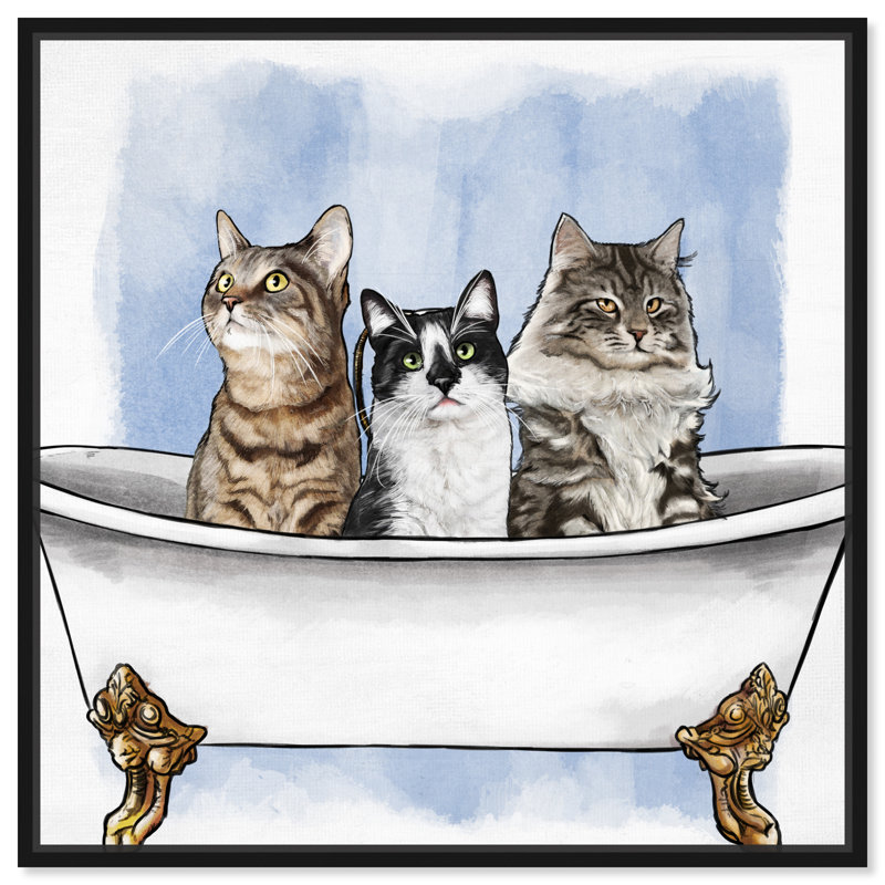 «Cats in the Tub - Floater Frame», impression sur toile, H 16 po x l 16 po, Cadre flottant noir