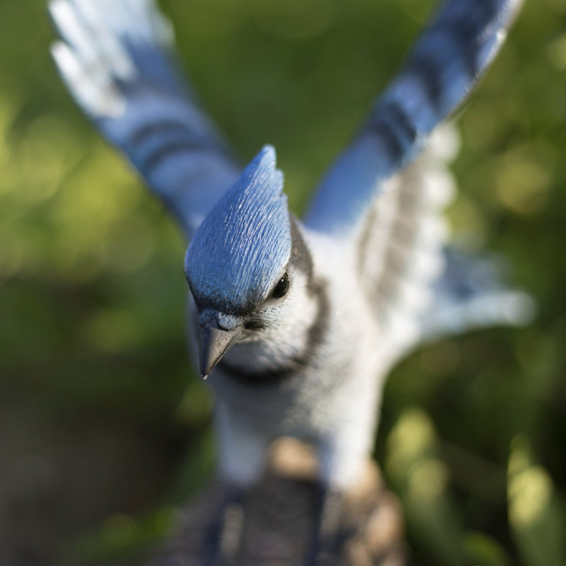Blue Jay Wing Out on stump | Handcrafted Decorative Bird Statue for Home & Garden | Premium Polyresin, Weather-Resistant Indoor/Outdoor Decor