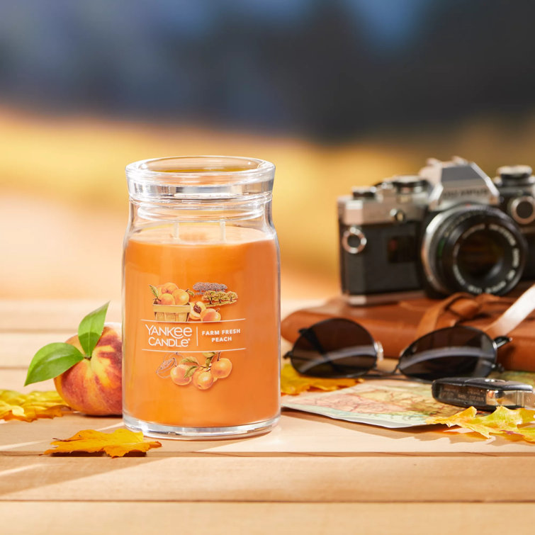 YANKEE CANDLE - Candela in giara media Original ''Farm Fresh Peach'' -  Dimensione Casa Store