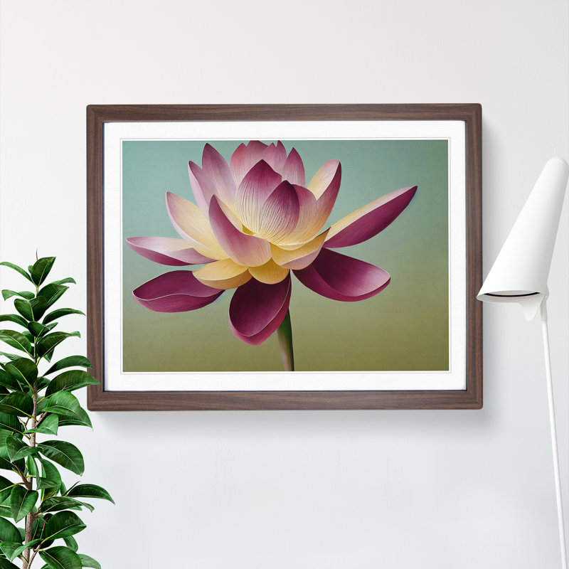 Shining Lotus Flower - Framed Print, 25cm H x 34cm W x 2cm D, Walnut