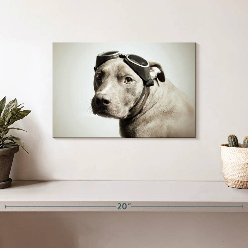 Brampt Aviator Pit Bull, 8" H x 12" W