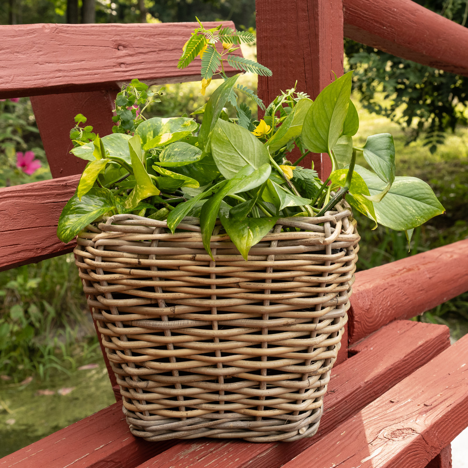 Square Tapered Planter With Plastic Insert
