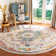 Haneul Performance Oriental Rug