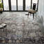 Area Rug in Gray-1689043165