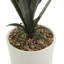 Plante grasse artificielle en pot-97092328