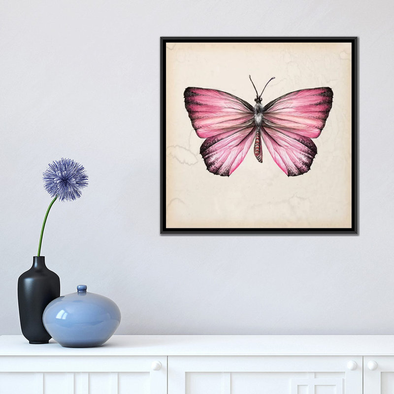 « papillon study iv », impression sur toile, H 18 po x l 18 po x P 1,5 po, Toile avec cadre noir, Pas de tapis