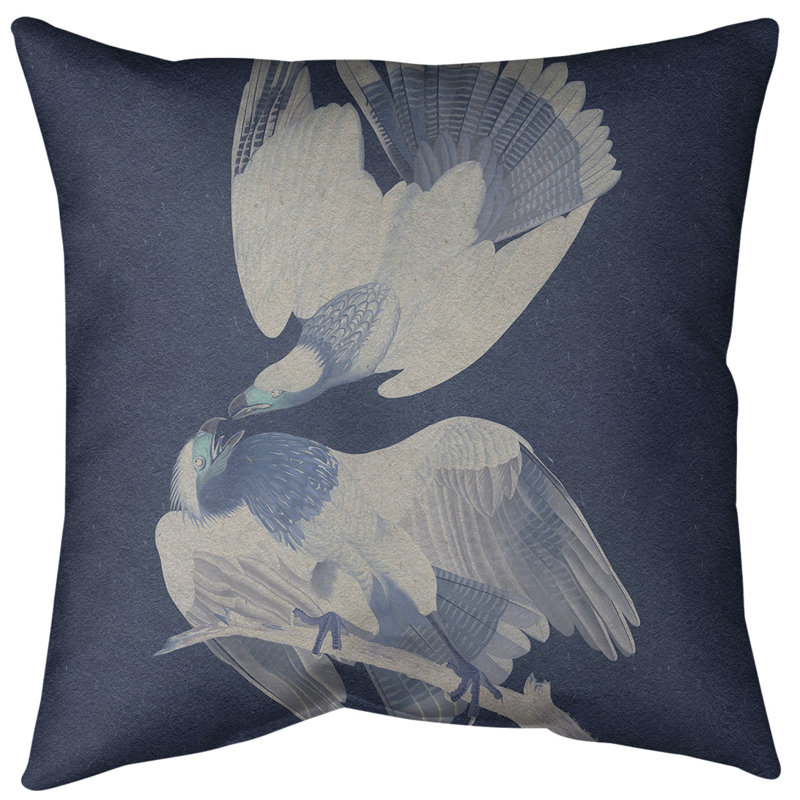 Insert de coussin décoratif brasilian caracara eagle, 14 po x 14 po, Duvet synthétique, Bleu marine/blanc