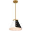 Danyall 1-Light Brushed Weathered Brass Pendant Light