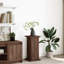 Plant Stand-105619999