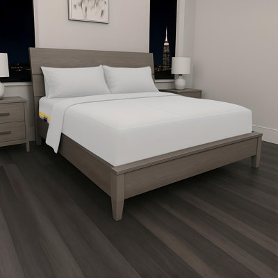 Le Vent - Modern Design