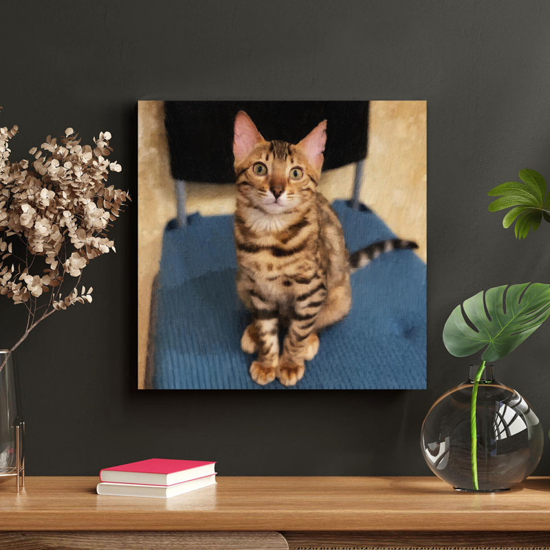 «Brown Tabby Cat On Blue Chair», reproduction d'art graphique sur toile tendue carrée 1 pièce, H 32 po x l 32 po