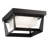 Black LED Outdoor Flush Mount