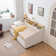 Guinette Upholstered Twin Daybed with Trundle and Headboard Shelf