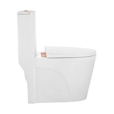 St. Tropez 1-Piece Elongated Toilet