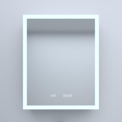 Aluminum Recessed/Surface Mount Medicine Cabinet