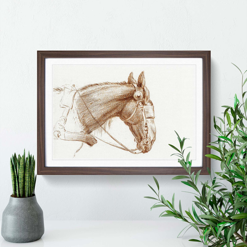 Head of a Horse by Jean Bernard - Picture Frame Drawing Print, 48cm H x 65cm W x 2cm D, Walnut Framed
