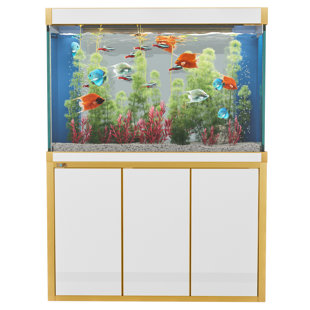 Réservoir d'aquarium 50 gallons (Ensemble de 2)