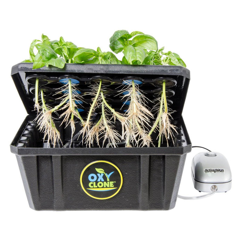 Hydrofarm Growing Kit
