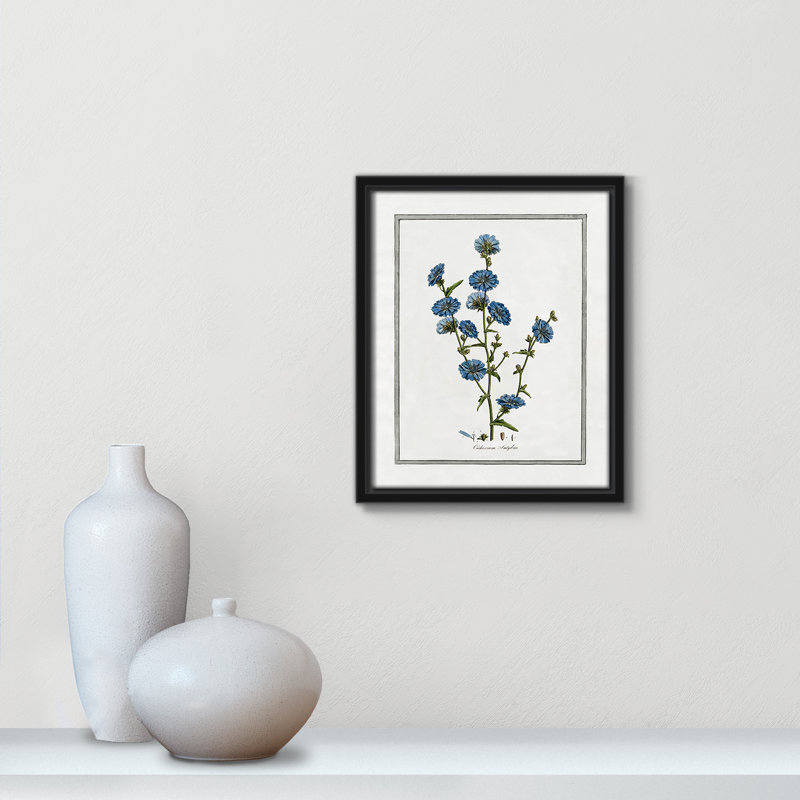 Shabby Soft Soft Botanical I - reproduction de cadre flottant sur toile, Noir, H 11,5 po x l 9,5 po x P 2 po