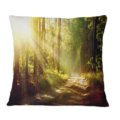 Throw Pillow