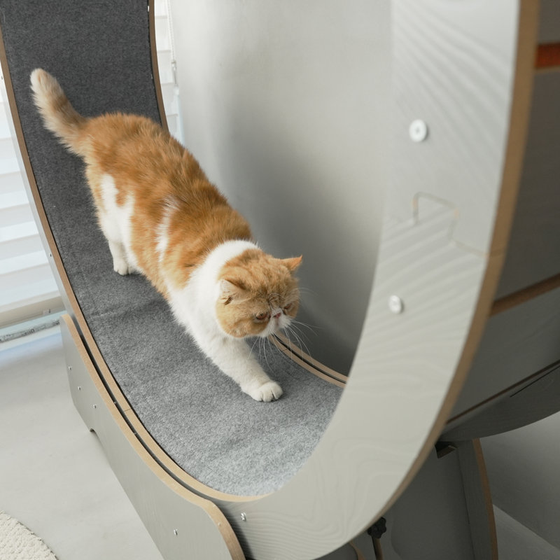 Denora 45'' Large Cat Running Wheel Treadmill, Gray