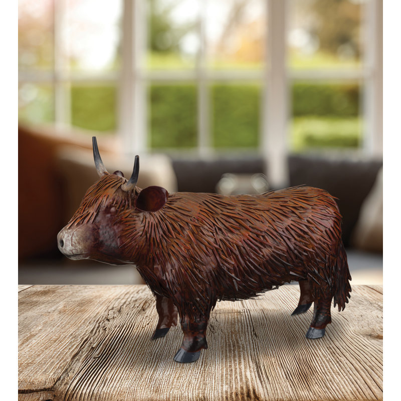 Vache Highland 10 po