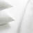 Atrina Fugue Sheet Set-1806353874-1806353871