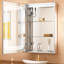 Cumbo LED Lighted Medicine Cabinet Bathroom Cabinet Dimmable & Memory & Fog-free Function-836825264