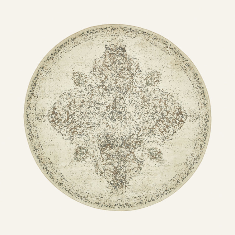 Tobitha Oriental Indoor Rug