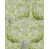Green/Gray selected