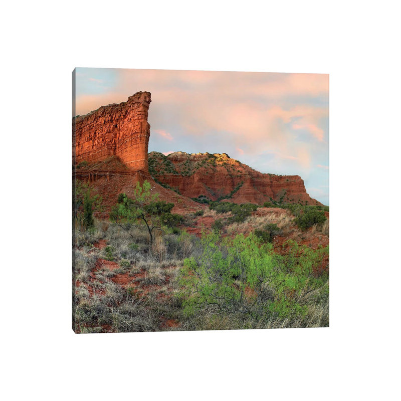 Sandstone Cliffs, Caprock Canyons State Park, Texas by Tim Fitzharris - Wrapped Canvas Print, 30.48 cm H x 30.48 cm W