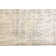 Ambrette Abstract Indoor Rug