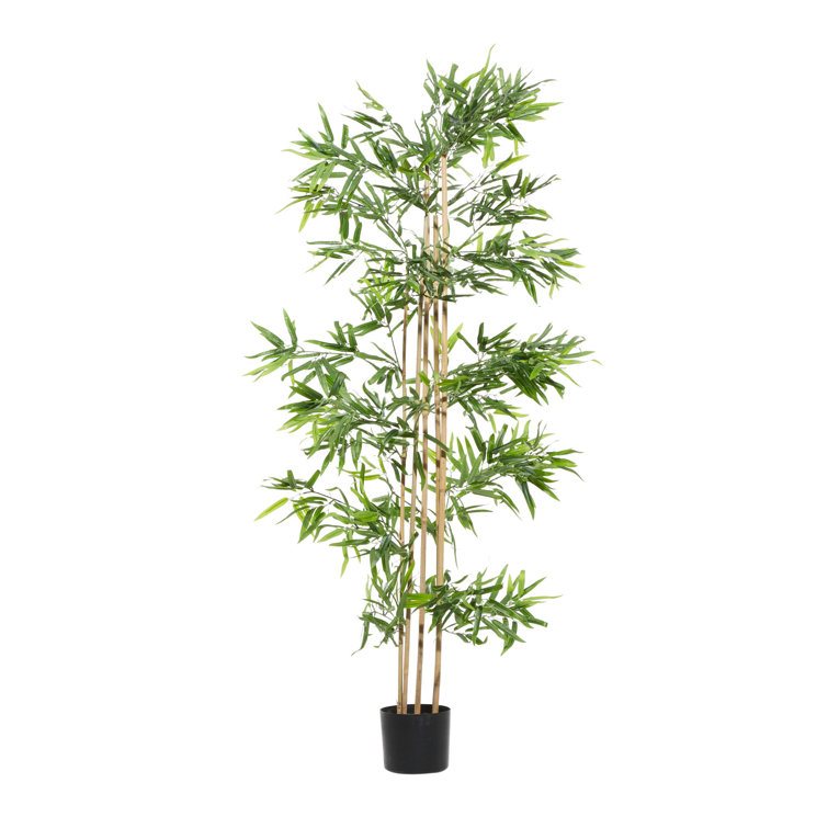 Primrue 72'' Faux Bamboo Tree in Pot | Wayfair