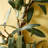 Tarik Handcrafted Faux Olive Polyester 16'' Wreath