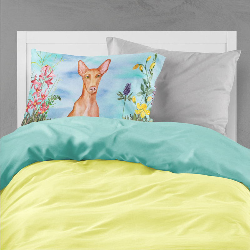 Taie d’oreiller spring, Chien du pharaon