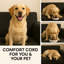 Corduroy Sofa-1915929690-1915929683