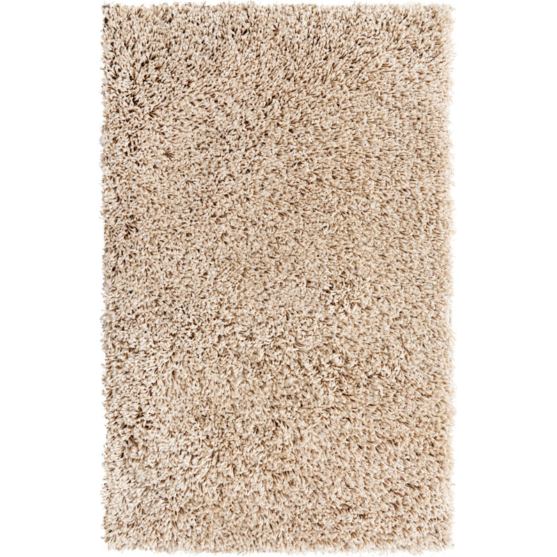 Tapis à poils longs Ashmita de couleur brun clair, Rectangle 3 pi 3 po x 5 pi 3 po