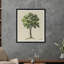 Four Branches Print-181360821