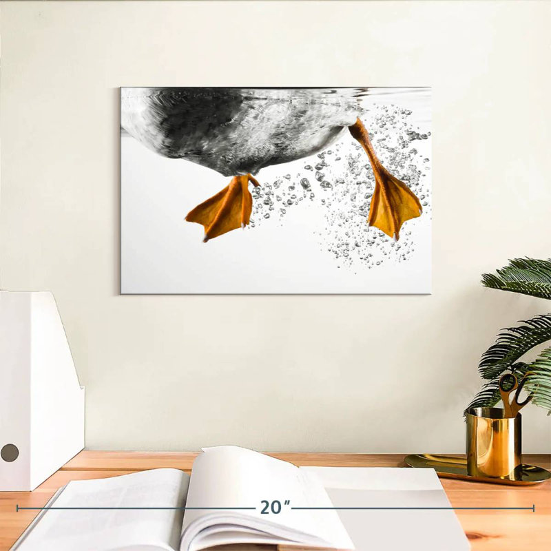 Brampt Duck Feet Underwater, 8" H x 12" W