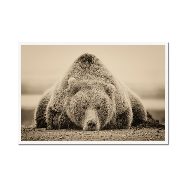 Deep Sleep by PHBurchett - Print