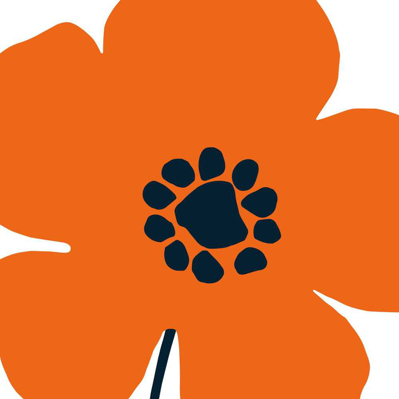 Pop art floral I orange, H 30 po x l 30 po x P 1,25 po